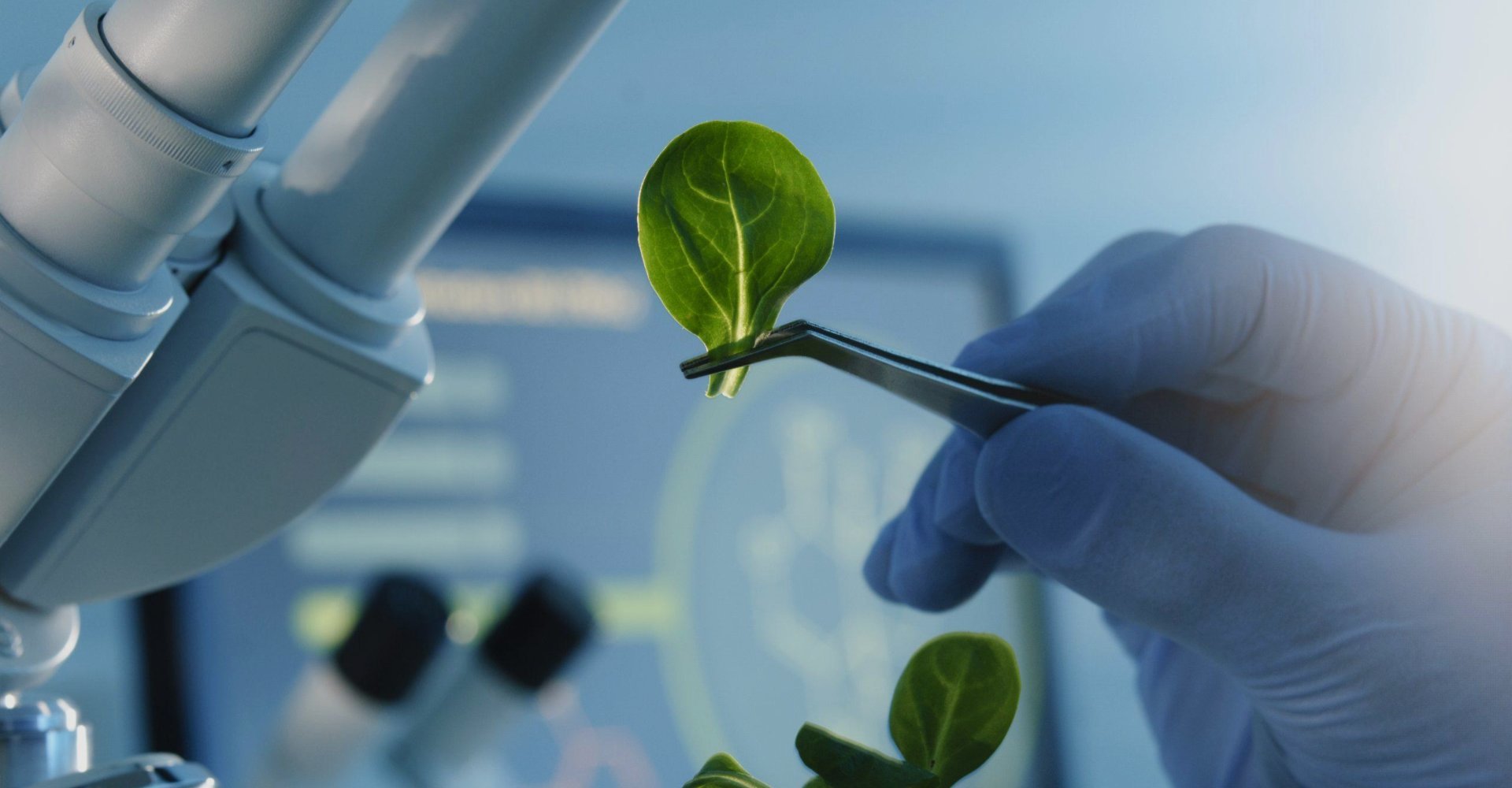 A century long career