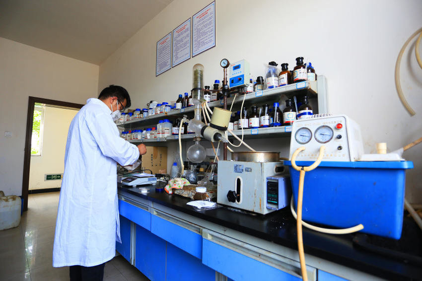 Becoming a World Medicine