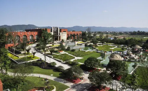 1713921890443812.jpg 3.jpg